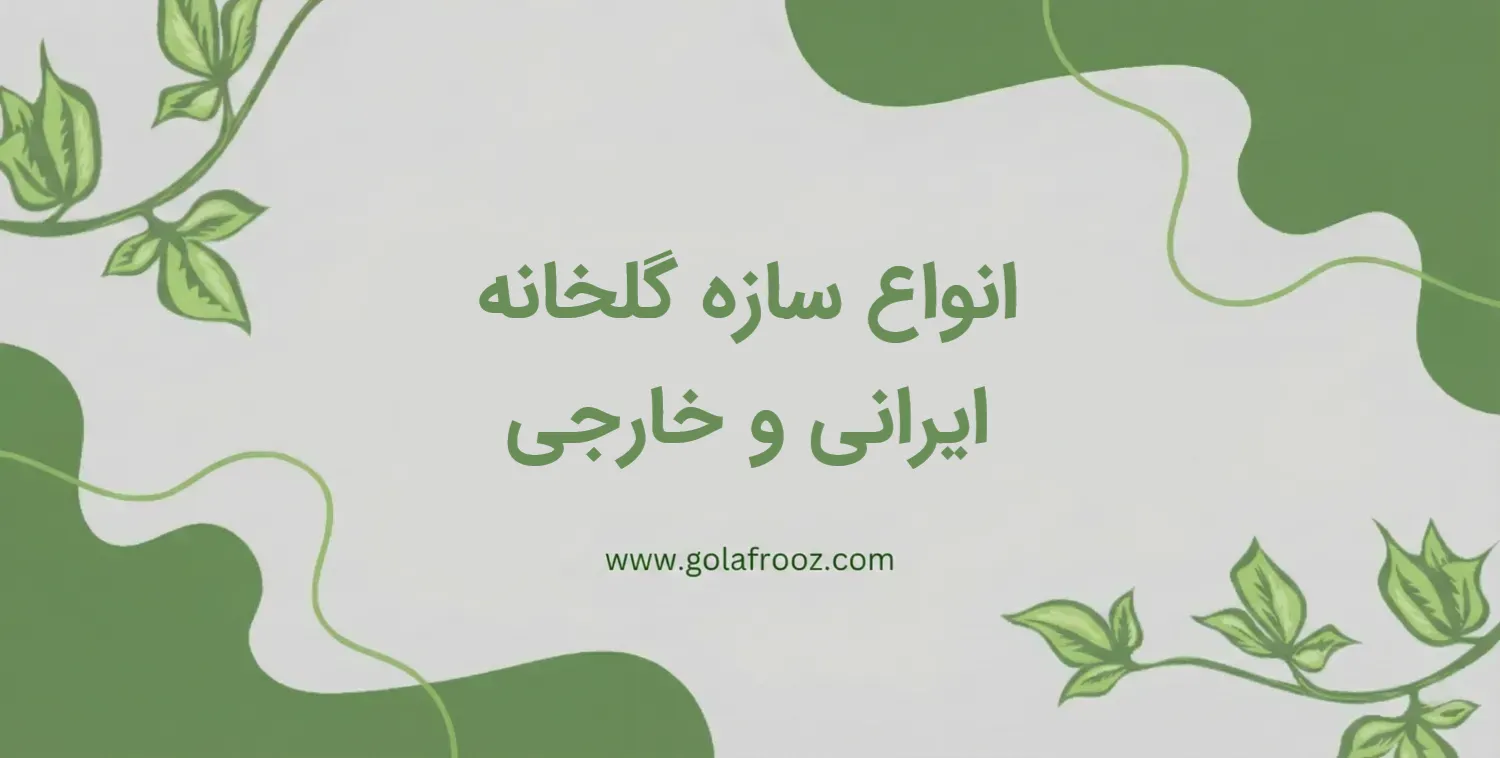 معرفی انواع سازه گلخانه ایرانی و خارجی 1405 + نحوه ساخت، کاربرد و کارایی