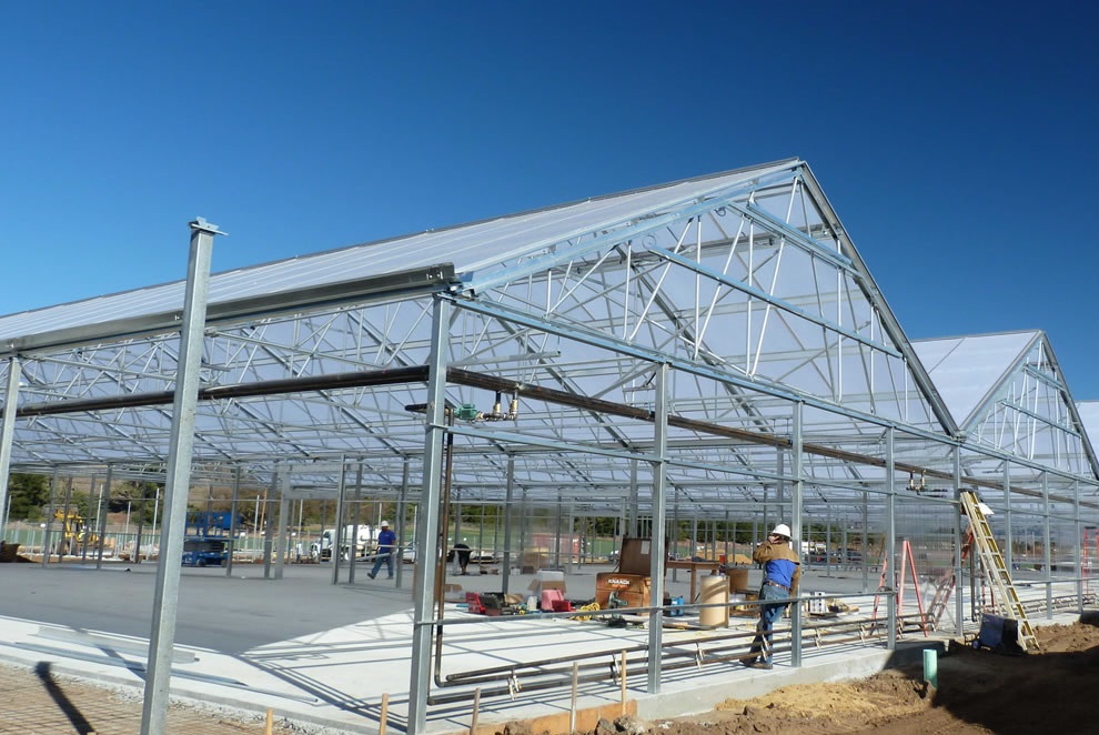 7 Myths About Starting a Greenhouse