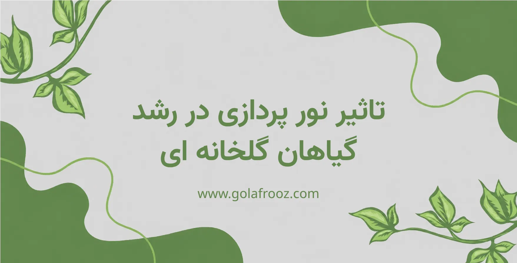تأثیر نورپردازی مصنوعی بر رشد گیاهان در محیط گلخانه‌ای چگونه است؟