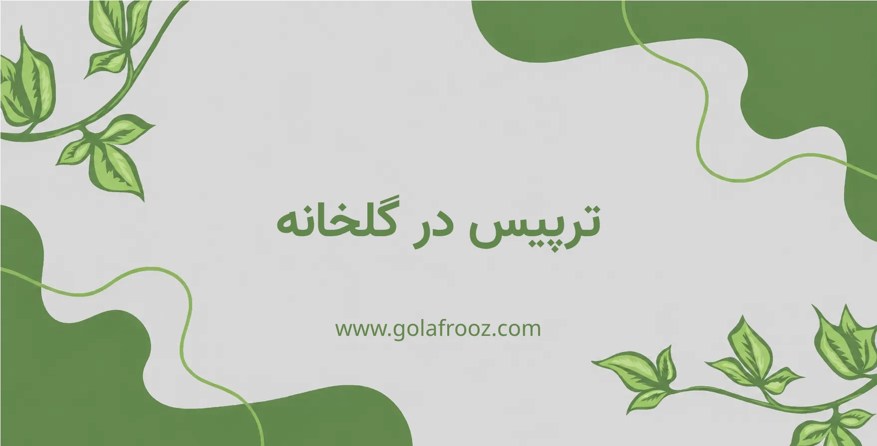 علت حضور ترپیس در گلخانه