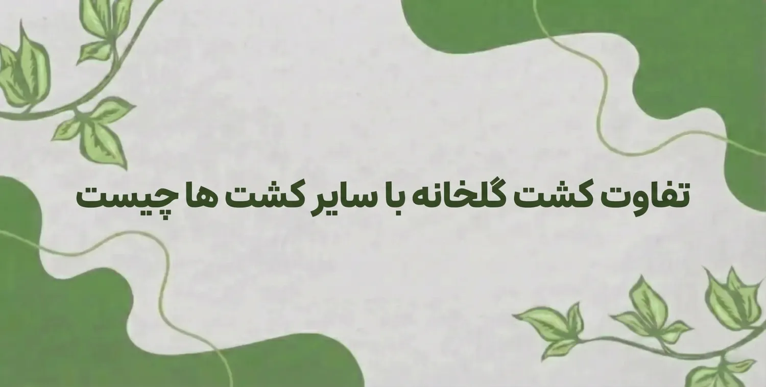 تفاوت کشت گلخانه با سایر کشت ها چیست | کدام کشت بهتر است و سود بیشتری دارد؟