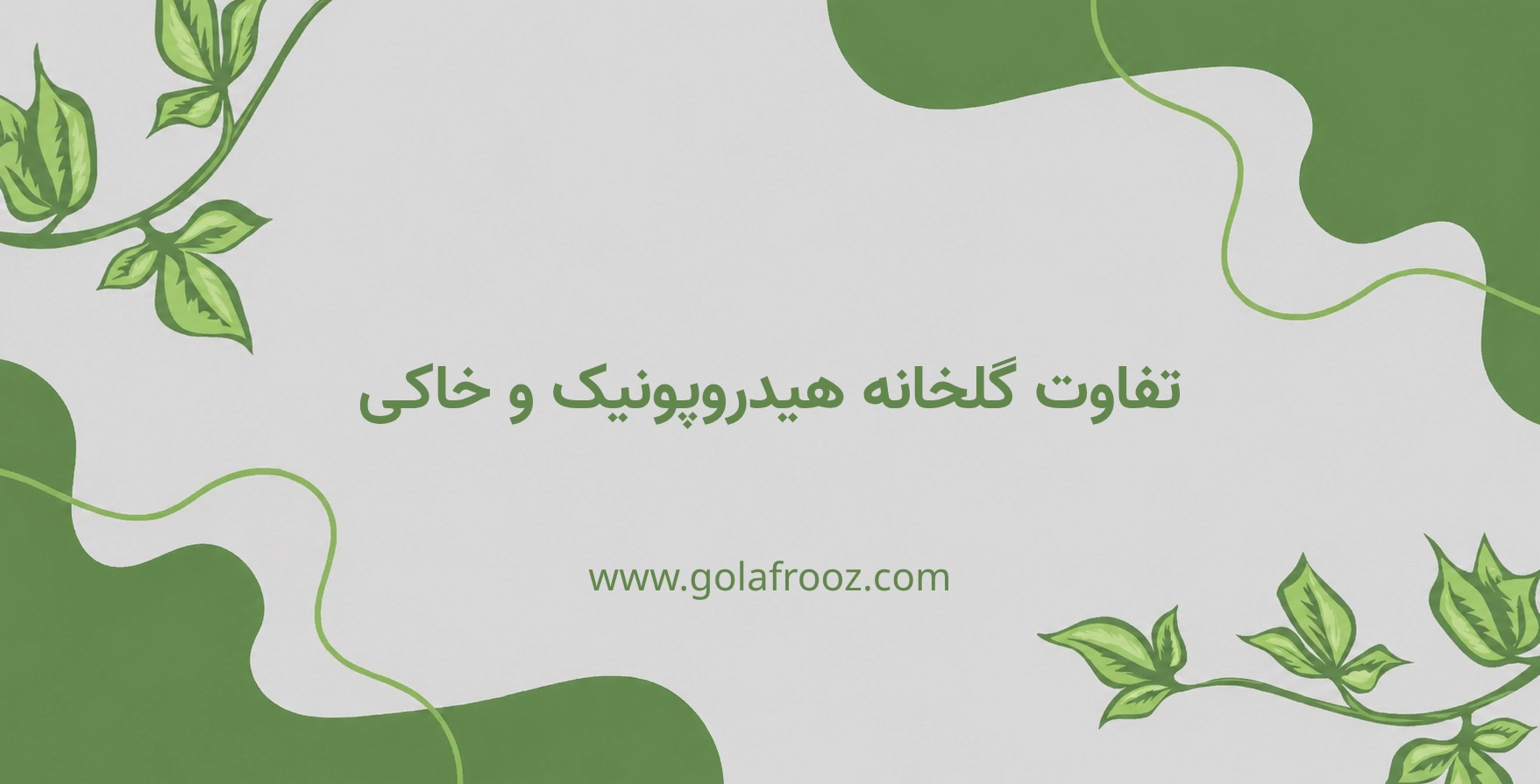 تفاوت گلخانه هیدروپونیک و خاکی؟ کدام کشت در سال 1404 پرسودتر است؟