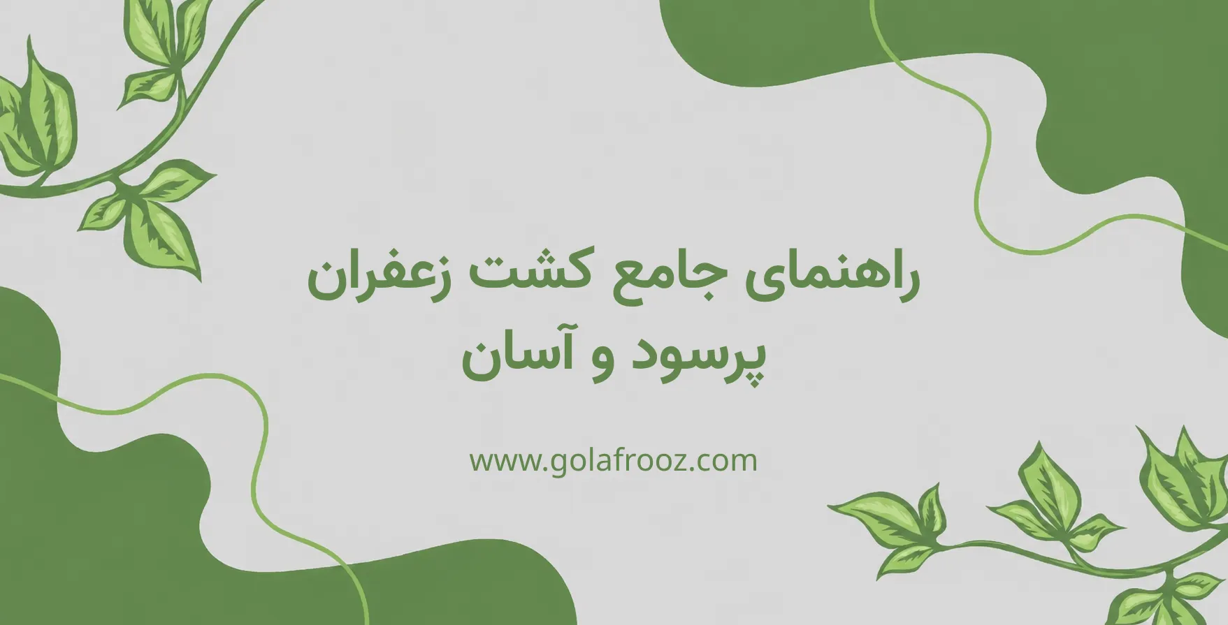 راهنمای کشت زعفران و درآمد