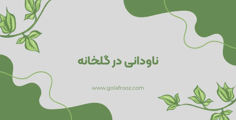 ناودانی در گلخانه چیست؟