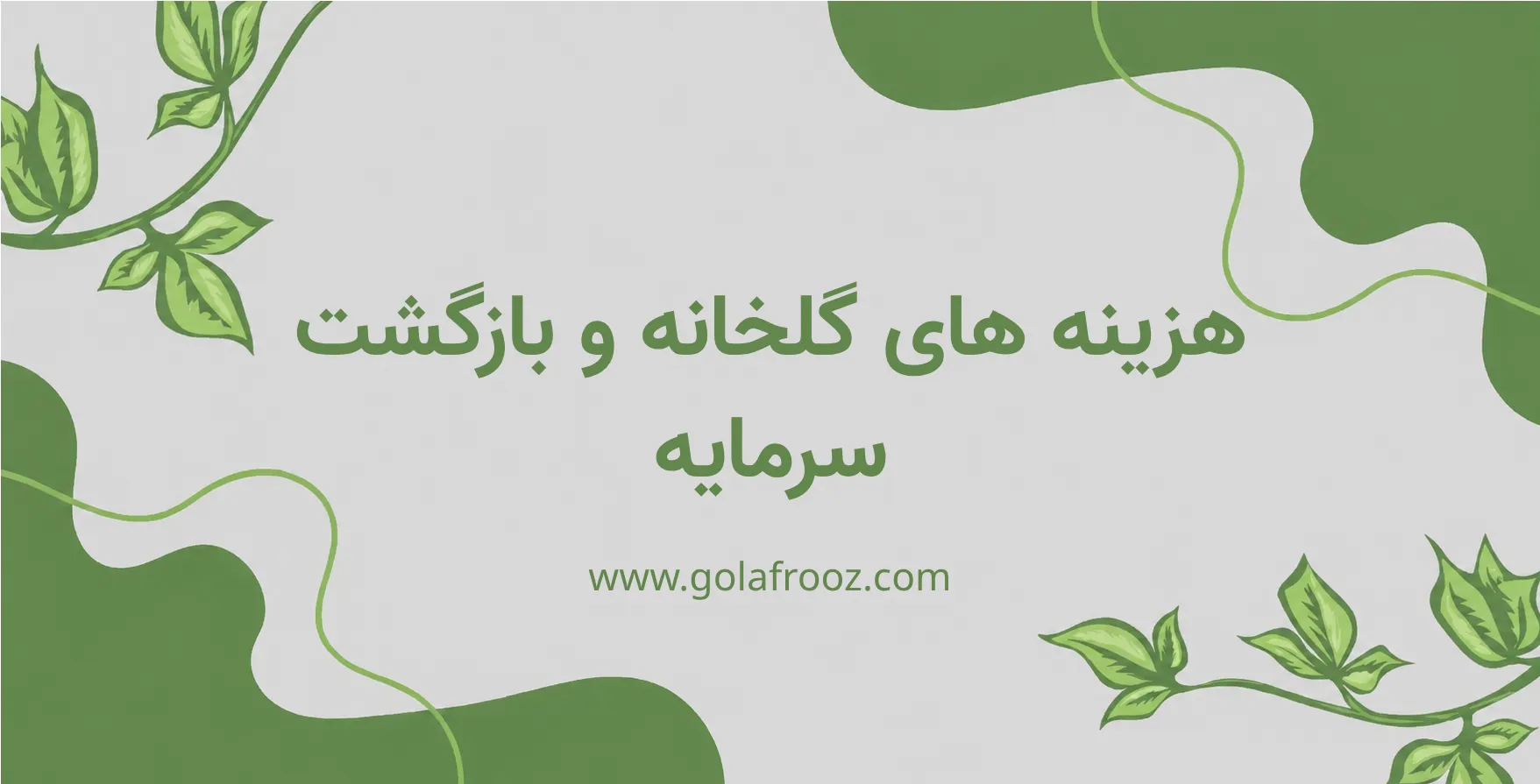هزینه‌های گلخانه و بازگشت سرمایه چرا اهمیت دارد؟