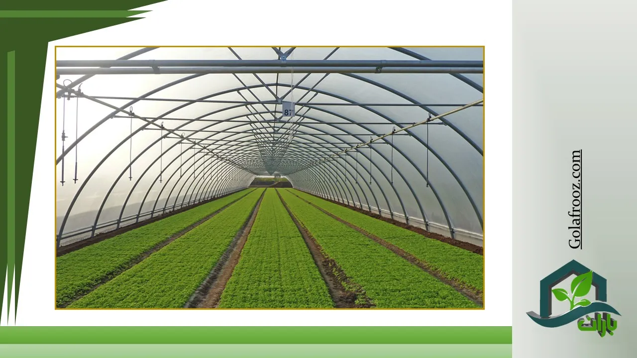 Greenhouse construction steps: planning, preparing the site