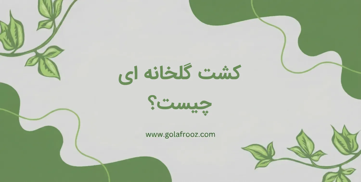 کشت گلخانه ای چیست؟