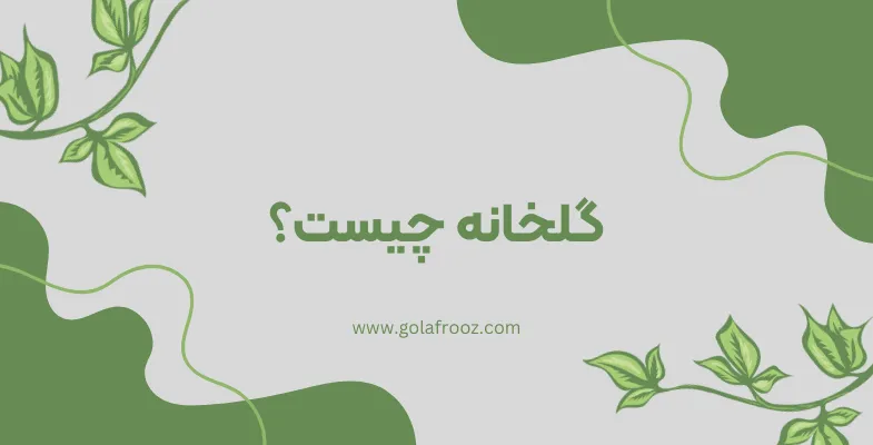 گلخانه چیست؟