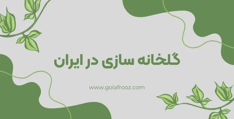 گلخانه سازی در ایران و نقش شرکت گلخانه سازی در بهره‌وری