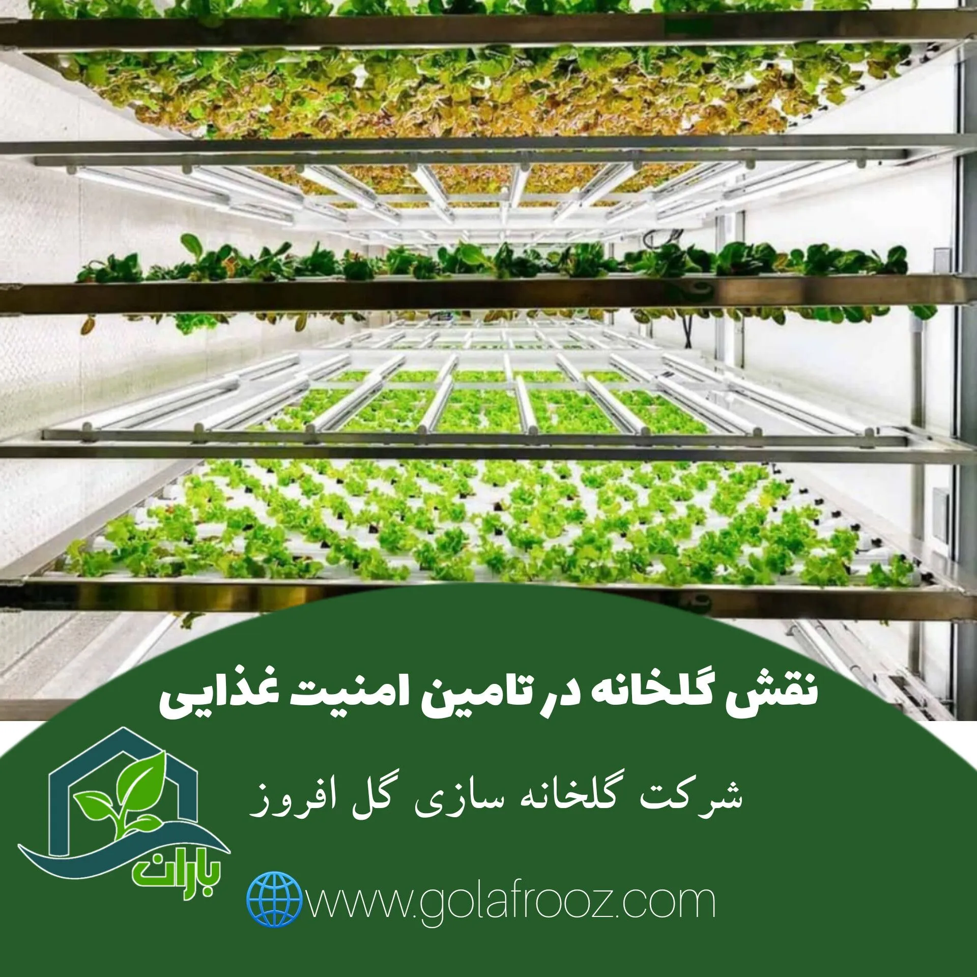 اهمیت گلخانه ها در غذا ما