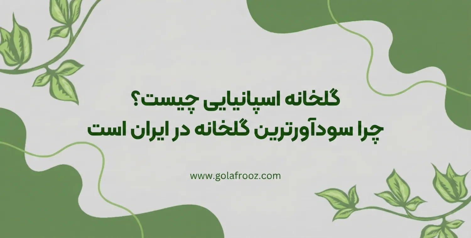 گلخانه اسپانیایی چیست؟ | چرا سودآورترین گلخانه در ایران است