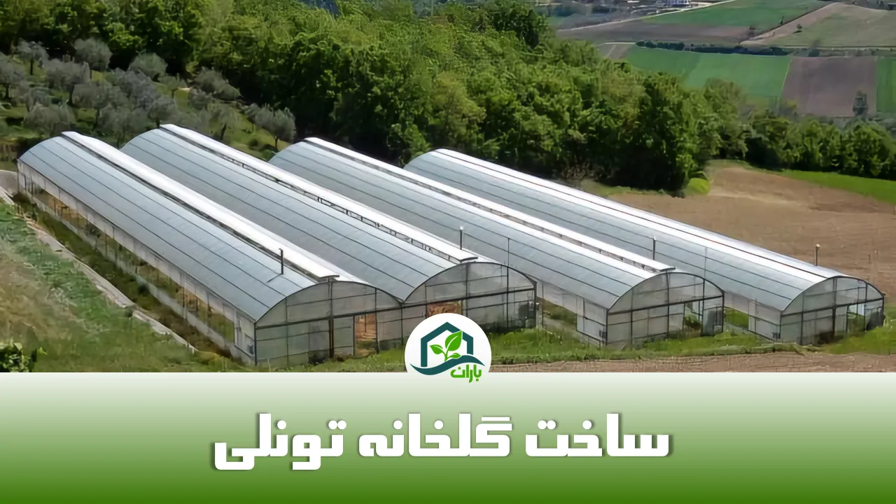 ساخت گلخانه تونلی [مزایای گلخانه تونلی]