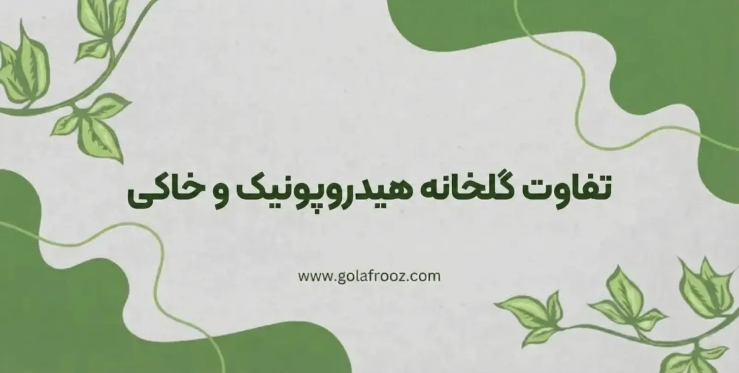 تفاوت گلخانه هیدروپونیک و خاکی؟ کدام کشت در سال 1404 پرسودتر است؟