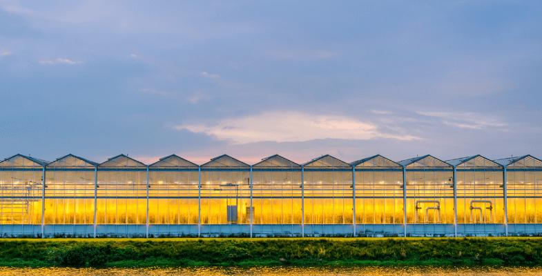 Factors affecting the selection of greenhouse types