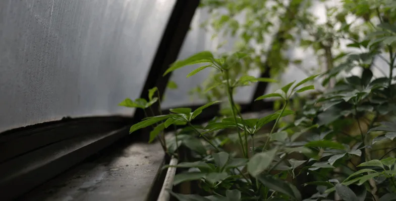 The Role of Greenhouse Contractors in Tehran and Essential Selection Factors