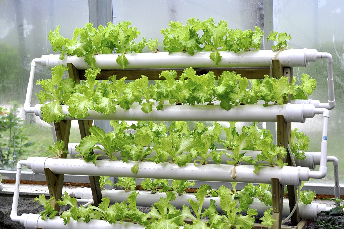 Hydroponic Greenhouse