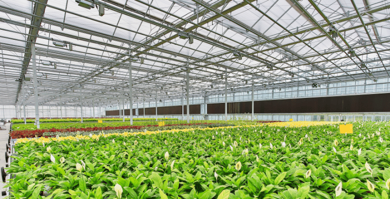 The importance of greenhouses in modern agriculture