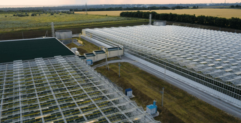 Types of greenhouses and their uses