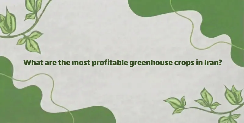 Most Profitable Greenhouse Crops in Iran: 2025 Investment Guide | Gol Afrooz