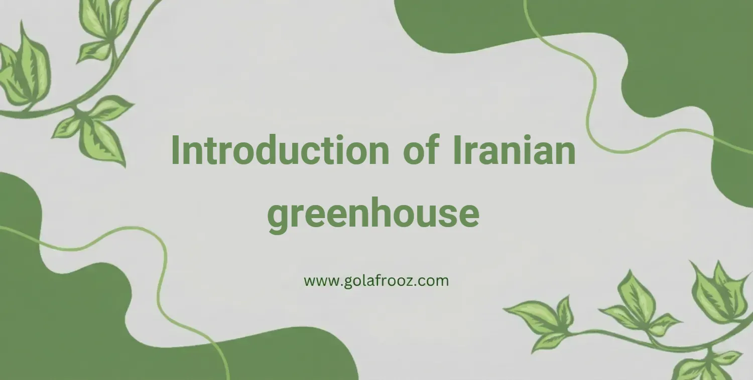 The Advantages of Iranian Greenhouse Construction in Sustainable Agriculture