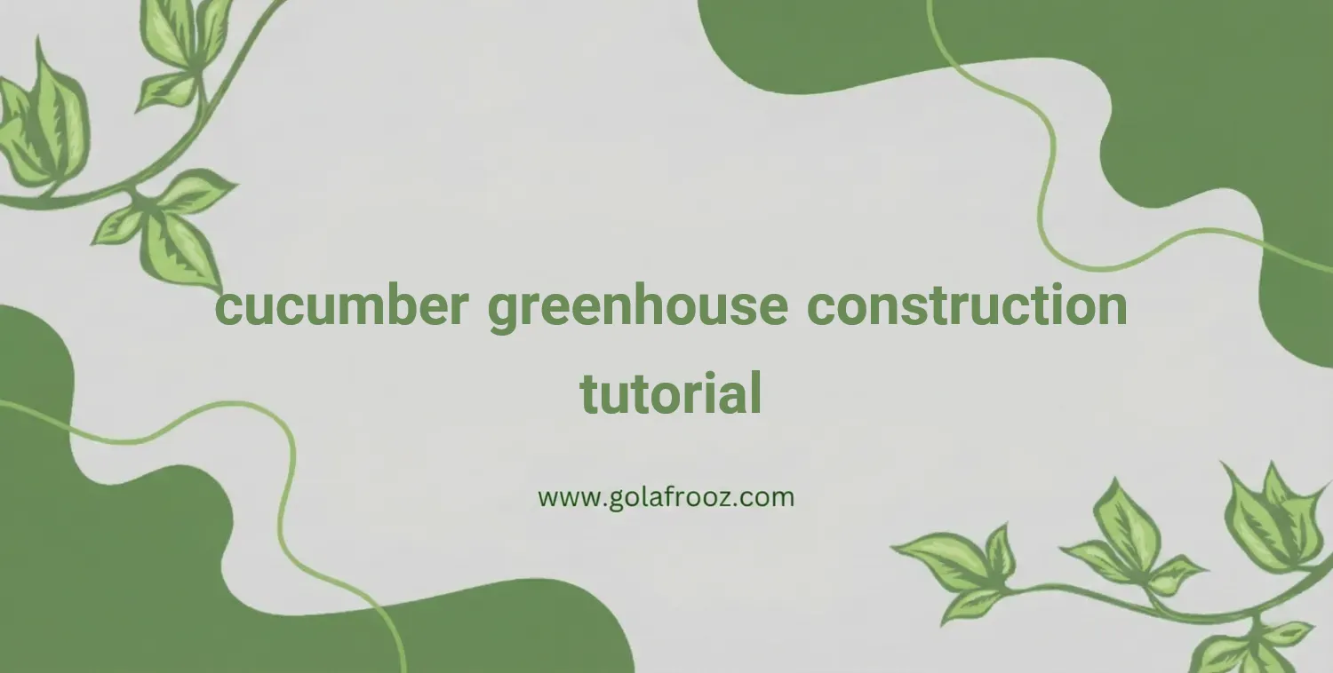 How to Build a Cucumber Greenhouse: A to Z Guide | Gol Afrooz