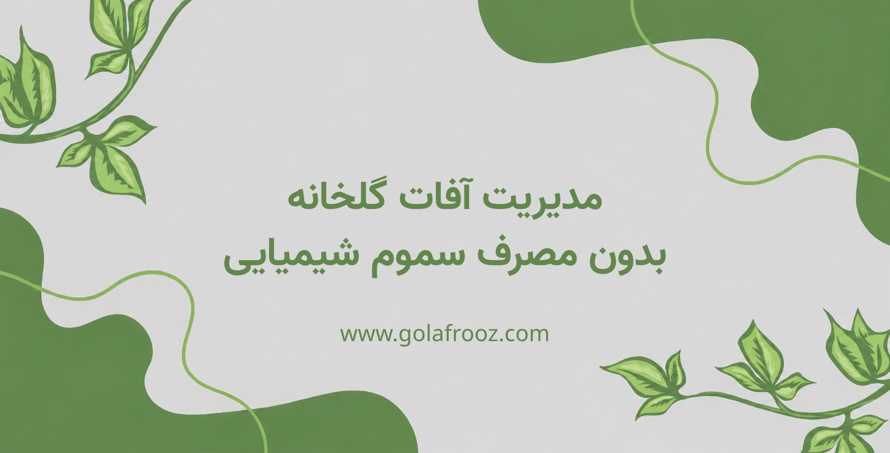 مدیریت آفات گلخانه بدون استفاده از سموم شیمیایی با روش‌های کنترل بیولوژیک