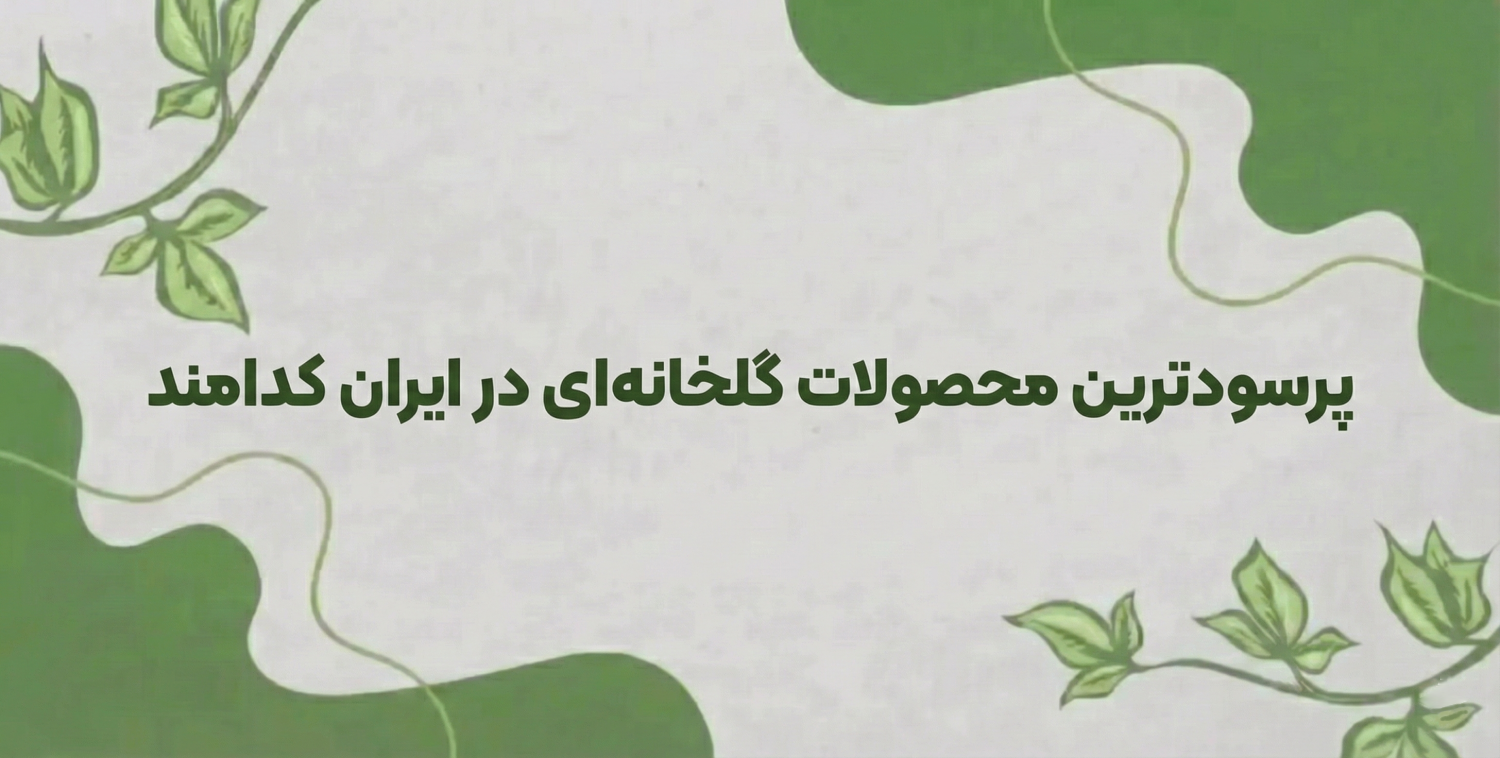 پرسودترین محصولات گلخانه‌ای در ایران کدامند؛ راهنمای سرمایه گذاری در گلخانه‌ها در سال 1404