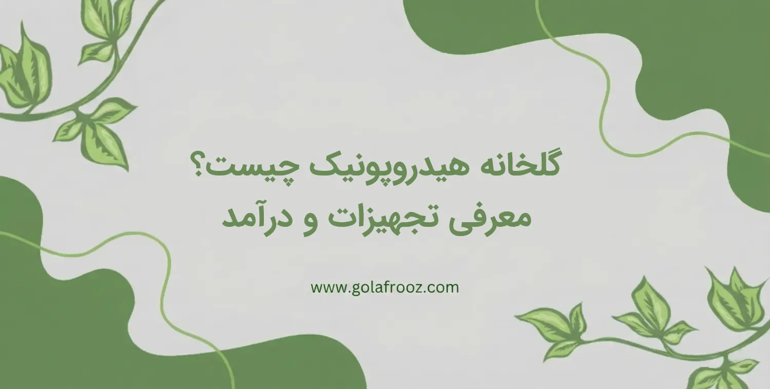 گلخانه هیدروپونیک چیست؟