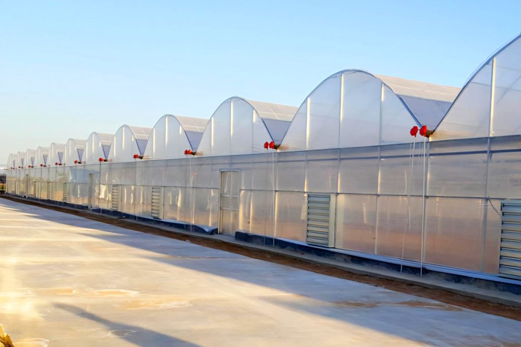 9,000 متر مربع گلخانه اسپانیایی در ورامین