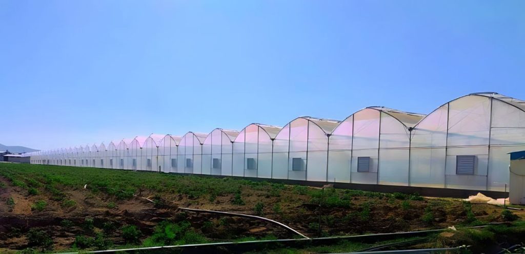 7,000 متر مربع گلخانه اسپانیایی در میان دو آب