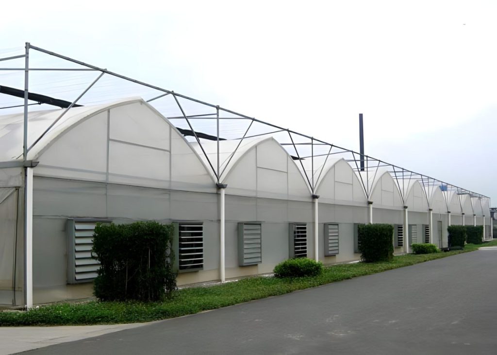 6,500 متر مربع گلخانه اسپانیایی در ارومیه