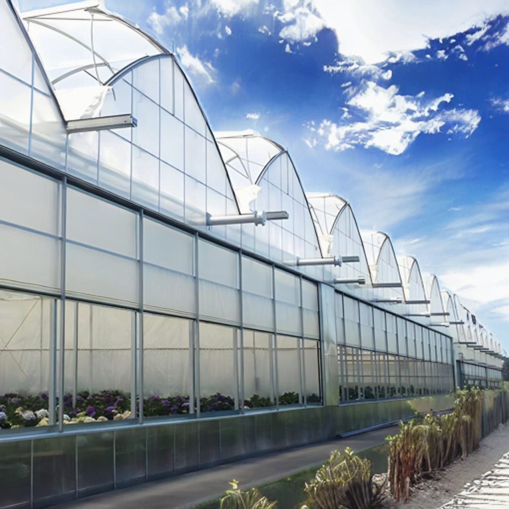 8,000 متر مربع گلخانه اسپانیایی در سنندج