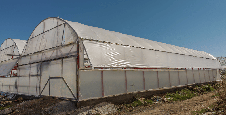 سفارش ساخت گلخانه با گل افروز