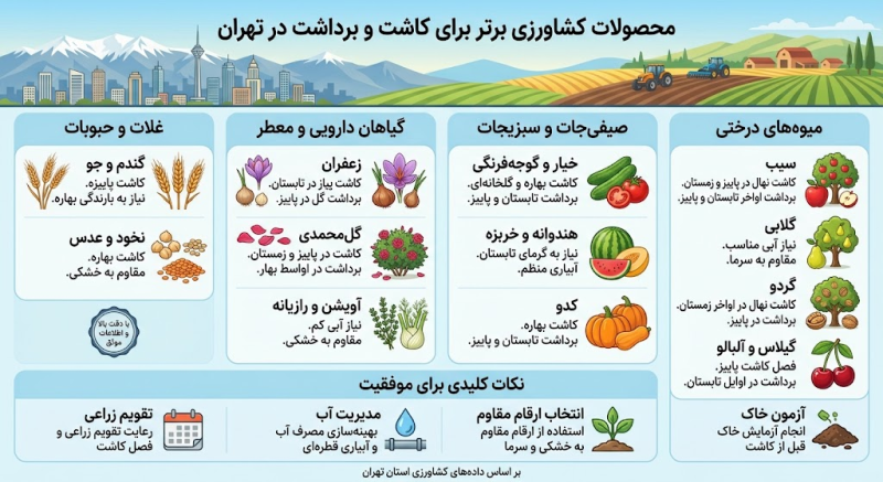 ساخت گلخانه در تهران