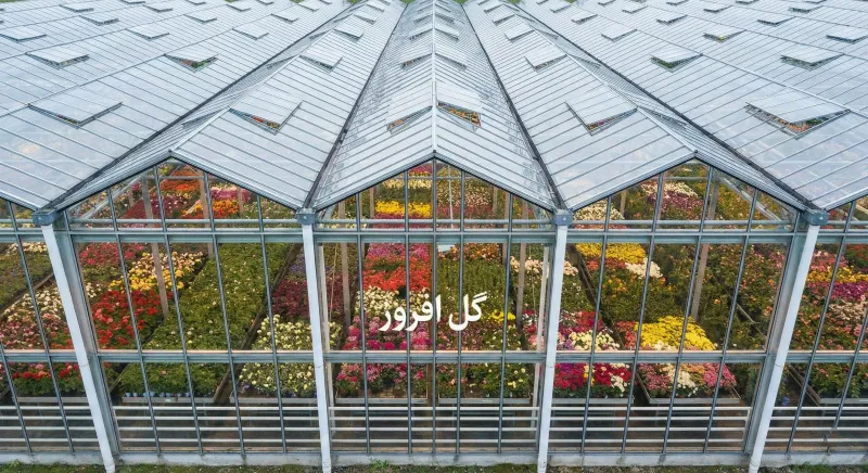 بررسی انواع سازه گلخانه