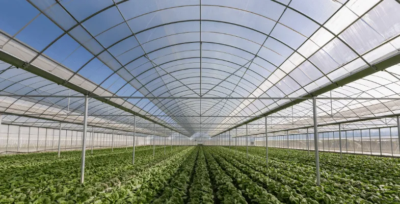 نحوه ساخت گلخانه اسپانیای با گل افروز