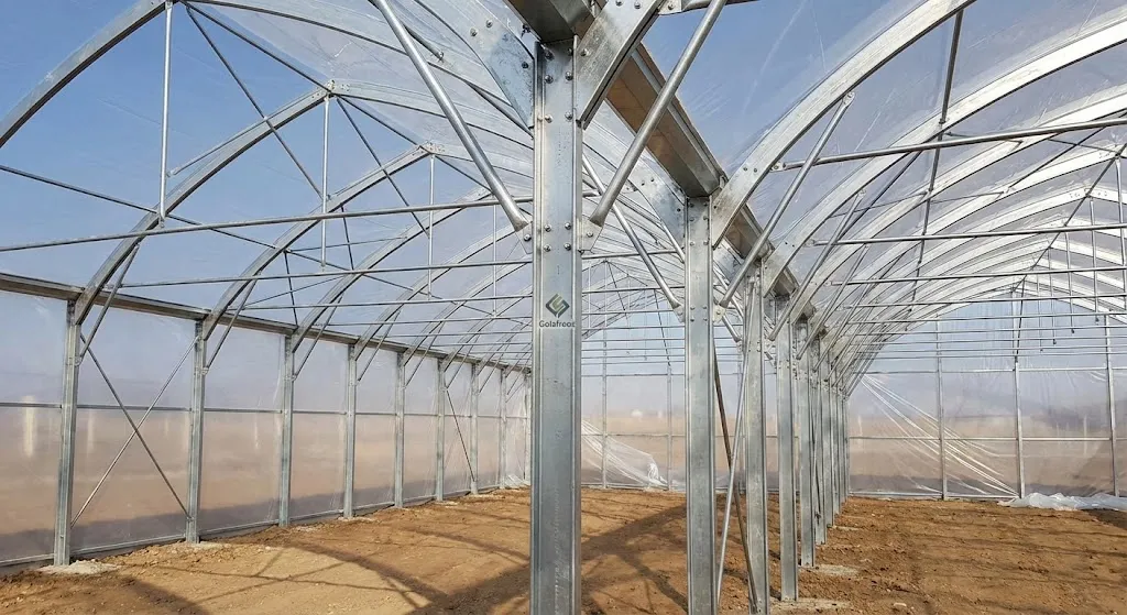 چرا گلخانه خیار بهترین انتخاب برای سرمایه گذاری است؟