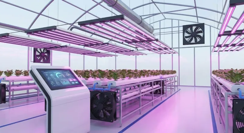 هزینه ساخت گلخانه مدرن