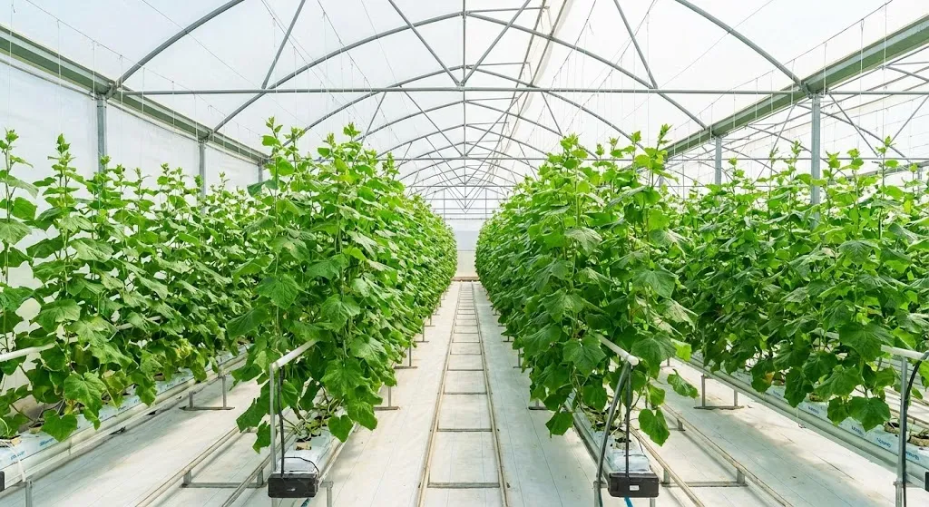 چرا ضخامت و ابعاد استاندارد در نایلون&zwnj;&zwnj;های یو وی مهم است؟