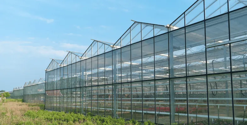 گلخانه سازی با کمک پیمانکار