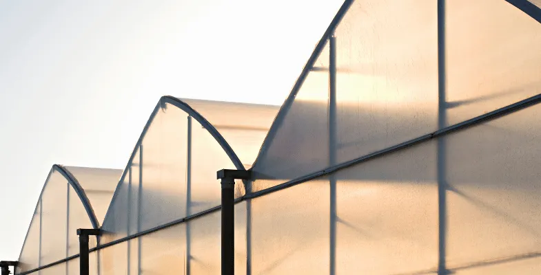 گلخانه اسپانیایی