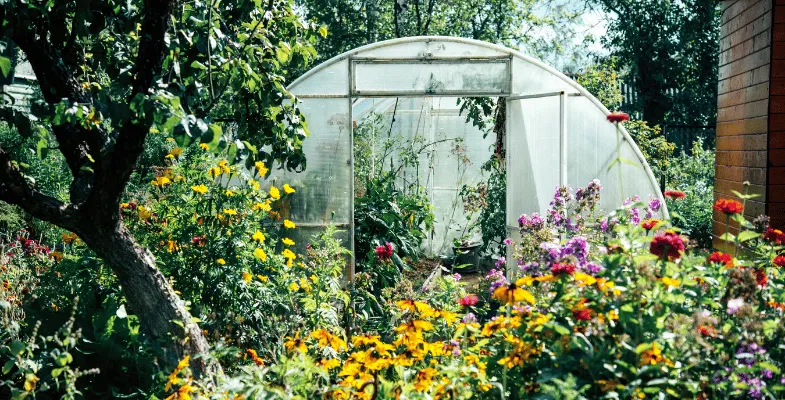 انتخاب مکان مناسب برای گلخانه خانگی