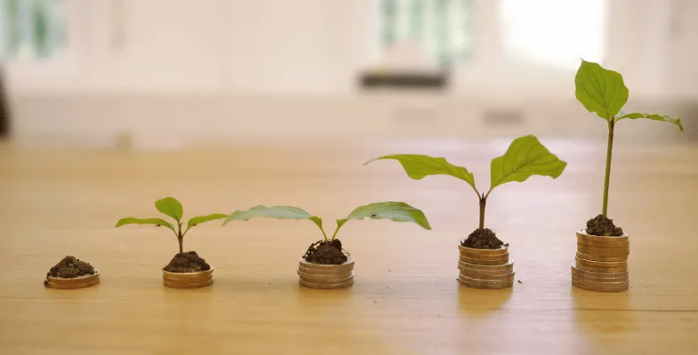 هزینه ساخت گلخانه در سال 1403