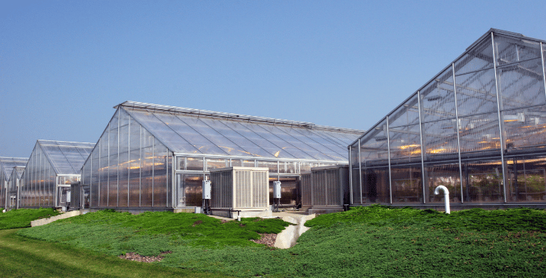 انواع گلخانه و کاربردهای آنها