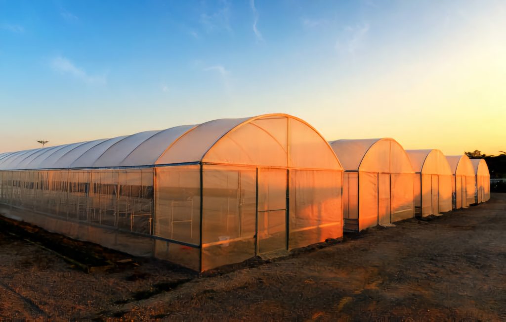 سازه گلخانه تونلی