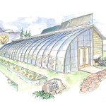 greenhouse-drawing-59
